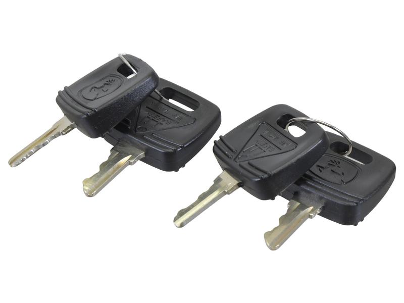 Ignition Key Image 1