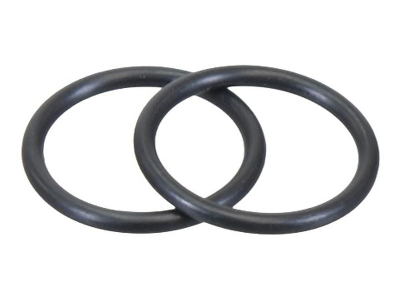O-Ring Bild 1