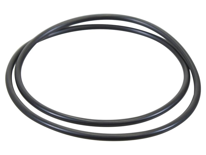 O-Ring Bild 1