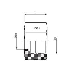 Dicsa Mutter M18 x 1.5 (12L) 2
