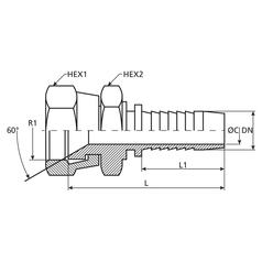 Dicsa Racord 60° 1/4\'\' x M14 x 1.5 Rosca fêmea Direito 3