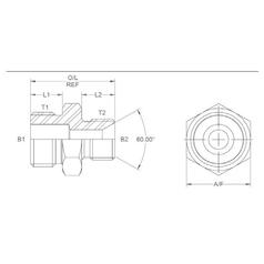 Hydraulik-Adapter 3/4\'\' SAE Stecker x 1/2\'\' BSP Stecker 3
