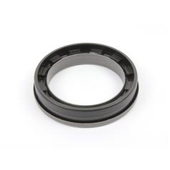 Oil Seal 1