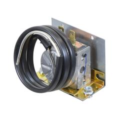 Temperature Control Switch 1