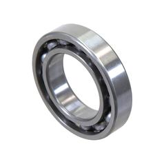 Carraro Rolamento 1