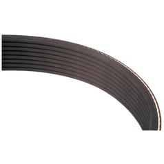 Courroie 8PK3020 1