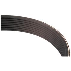Correia 6PK855 1
