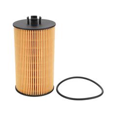Oil Filter - Element - SO7081 1