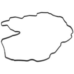 Rocker Cover Gasket 1