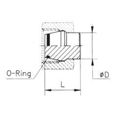 Sparex Endstopfen mit O-Ring 16S 4