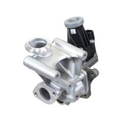EGR Valve 2