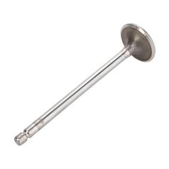 Inlet Valve 1