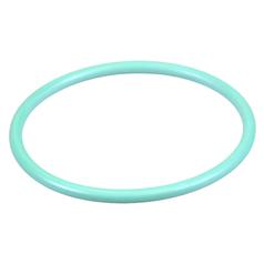 O Ring 1
