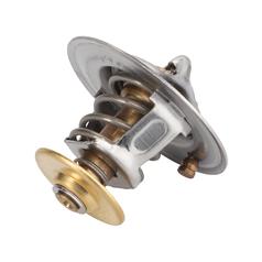 Thermostat 1