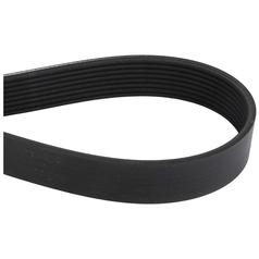Drive Belt 1