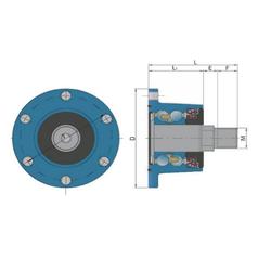 Sparex Disc Hub Bearing Assembly (BAA-0004) 2