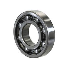 Sparex Rolamento (6313) 1