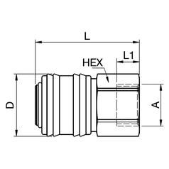 Coupler Female BSPP - 1/2\'\' 2