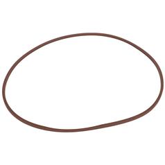 O-Ring 1