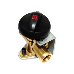 Temperature Control Switch 1