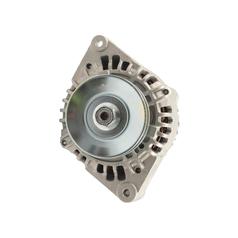 Alternator (Manitou) Amps 1