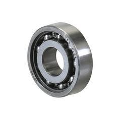 Sparex Rolamento (RLS42RS) 2