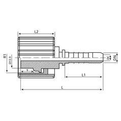 Dicsa Racord Metrico (Karcher) 1/4\'\' x M22 x 1.5 3