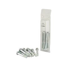 Agripak 10 pcs. Metric Bolt, M10x80mm 1