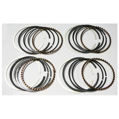 Piston Ring Set 1