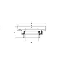 Axle Seals 3