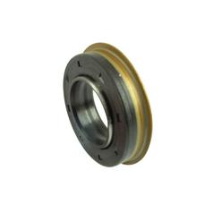 Oil Seal 1