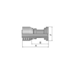 Parker Brida 3/4\'\' x 41mm Ø Brida recta (6000psi) 2
