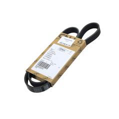 Cinghia PK - Cinghia N° 1