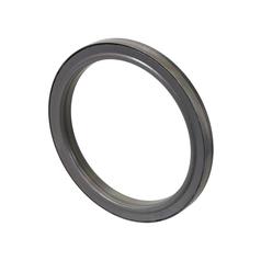 Crankshaft Seal 1