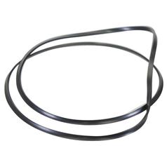 O-Ring 1