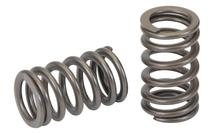 Sentinel Valve Spring Spring Valve