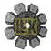 Clutch Plate