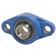 NTN SNR Two-Bolt Flanged Unit (UCFL205)