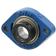 NTN SNR Two-Bolt Flanged Unit (ESFD205)