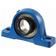 NTN SNR Supporto per cuscinetto a due fori (ESPE210)