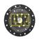 Clutch Plate
