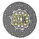 Clutch Plate