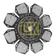 Clutch Plate