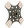 Clutch Plate