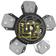 Clutch Plate