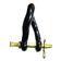 Bow Shackle, Rated