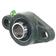 Sparex Two-Bolt Flanged Unit (UCFL205)