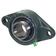 Sparex Two-Bolt Flanged Unit (UCFL208)