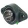 Sparex Two-Bolt Flanged Unit (UCFL209)