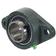 Sparex Two-Bolt Flanged Unit (UCFL210)